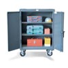33-202CA, Counter Height Cabinet with Casters, 36'W x 20'D x 36'H